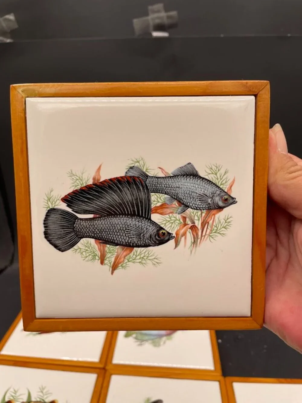 Set Of 6 Ceramic Tiles Wood Frame Tropical Fish Decals Coasters Trivets Aquatic